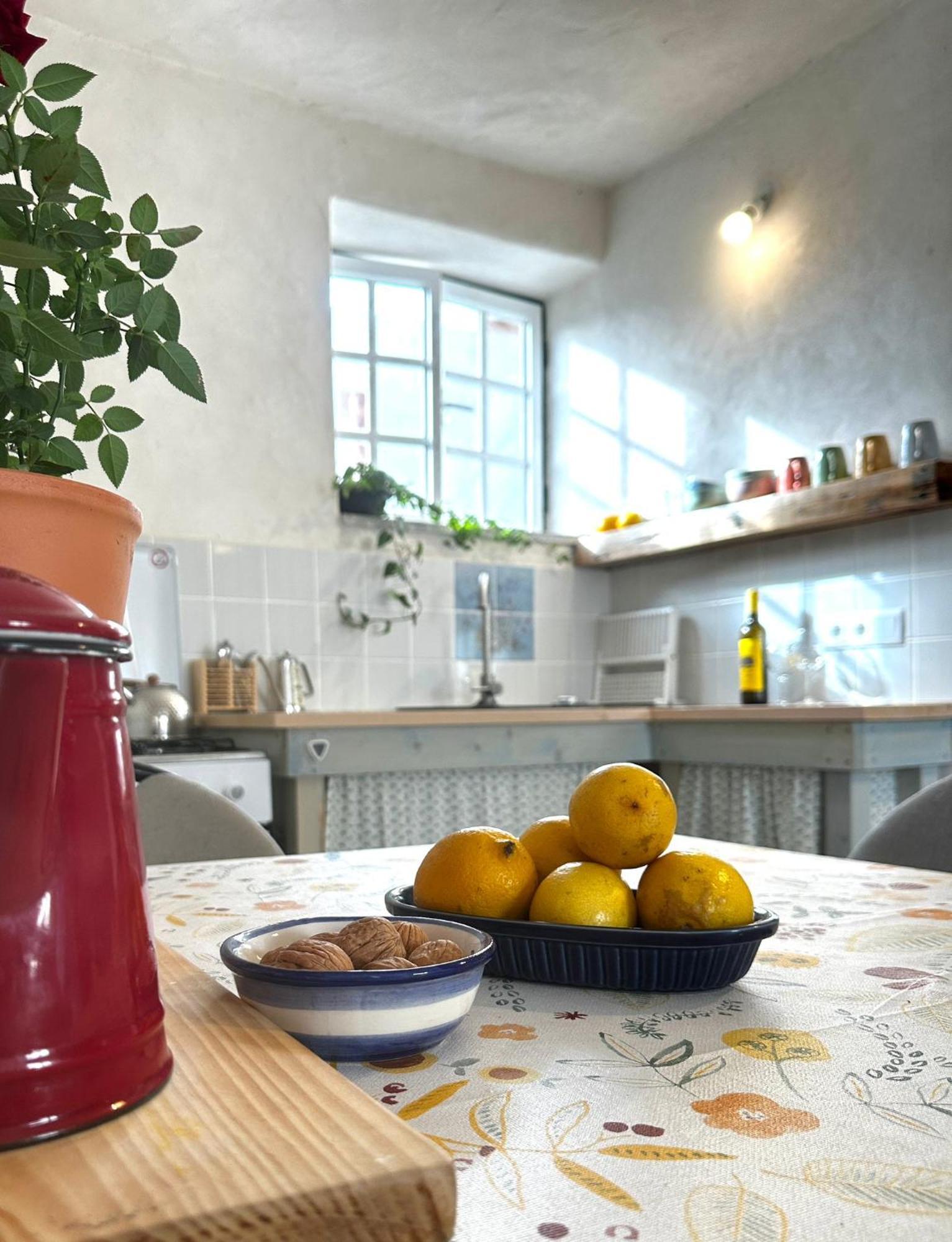 Casa Trilho The Gaios Bed and Breakfast Tábua Εξωτερικό φωτογραφία